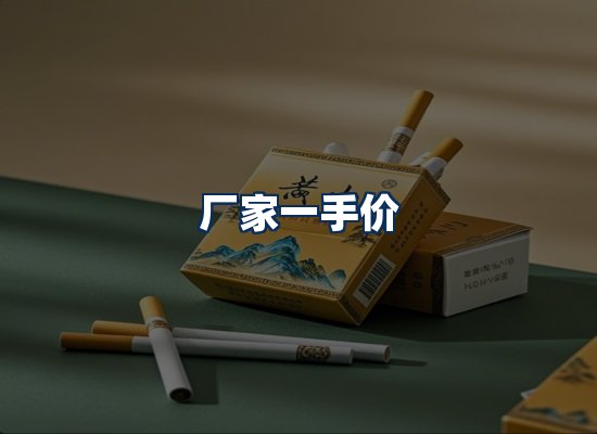 专业团队办公环境